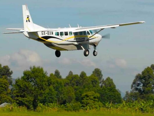 3-days-flying-gorilla-trekking-safari 3-days-flying-gorilla-trekking-safari