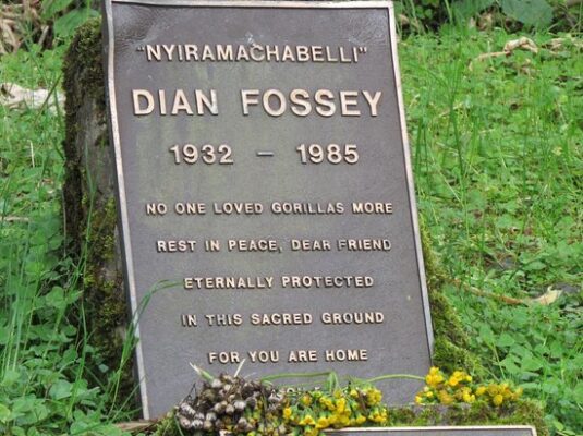 Dian Fossey Tomb Dian Fossey Tomb