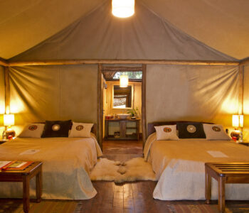 Gorilla-Forest-Camp-3 Gorilla-Forest-Camp-3