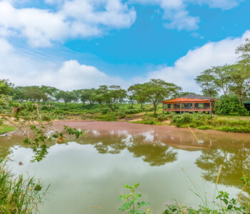 KKP-102-copy-2 KKP-102-copy-2