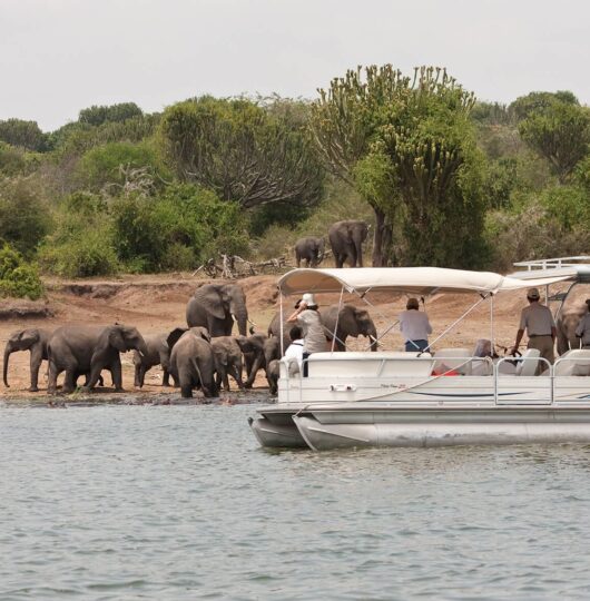 Park-Photo-Gallery-Expanded-Uganda-Queen-Elizabeth-3 Park-Photo-Gallery-Expanded-Uganda-Queen-Elizabeth-3