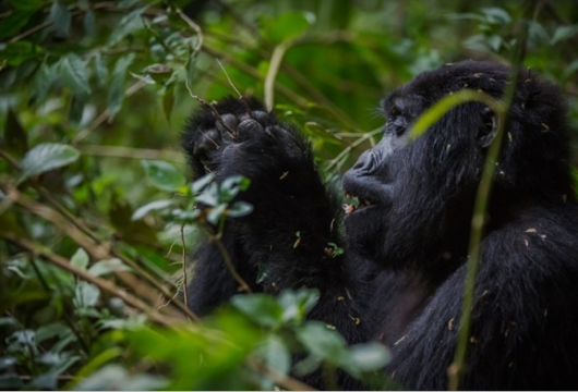 Rectangle 9 Rectangle 9