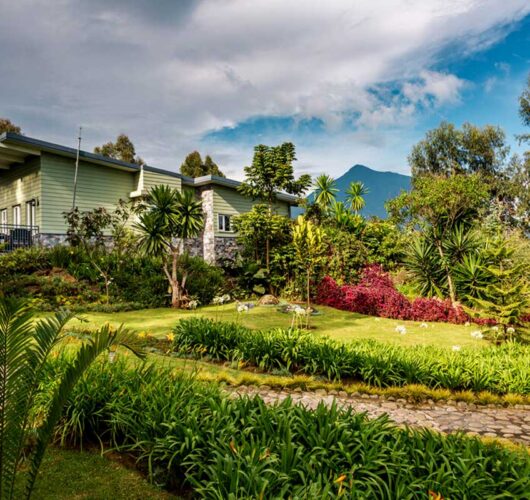 amakoro-songa-lodge amakoro-songa-lodge