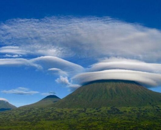 arton87-570x430 arton87-570x430