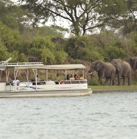 boat-cruise-3-1024x683 boat-cruise-3-1024x683