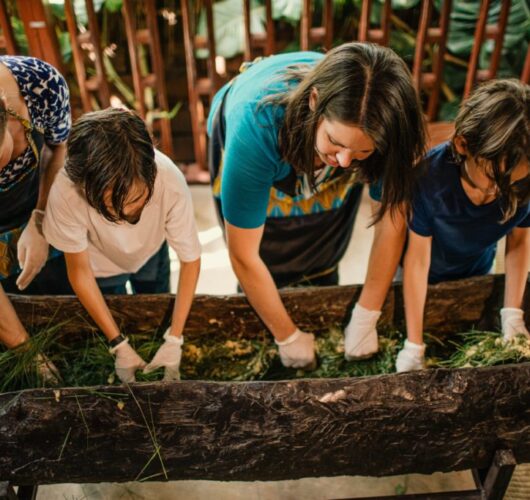 experiences experiences