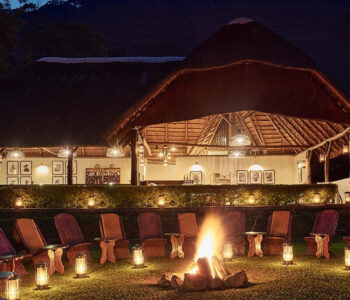 gorilla-forest-camp gorilla-forest-camp