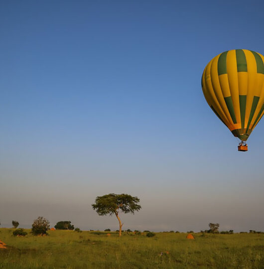 hot-air-balloon-safaris hot-air-balloon-safaris