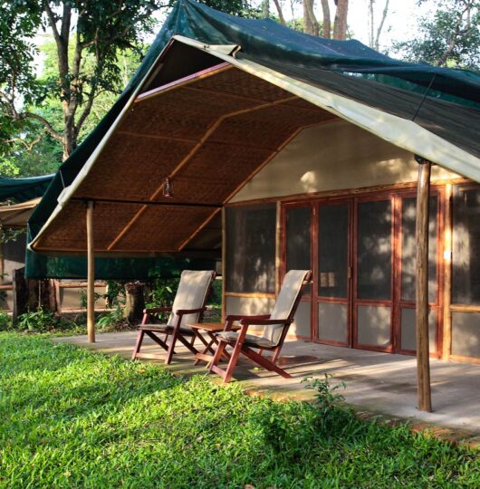 ishasha-wilderness-camp-1 ishasha-wilderness-camp-1