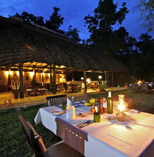 ishasha-wilderness-camp ishasha-wilderness-camp