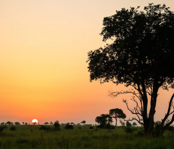 paraa-safari-lodge paraa-safari-lodge