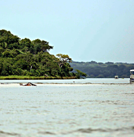 river_nile_boat_cruise-murchison_falls-17-21-1 river_nile_boat_cruise-murchison_falls-17-21-1