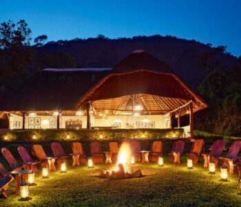 sanctuary-gorilla-forest-camp sanctuary-gorilla-forest-camp