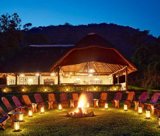 sanctuary-gorilla-forest-camp sanctuary-gorilla-forest-camp