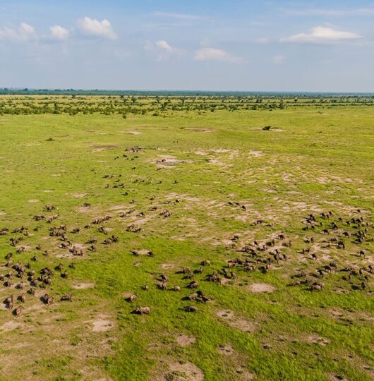 uganda_mweya-001 uganda_mweya-001