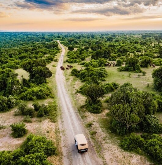 uganda_mweya-003 uganda_mweya-003