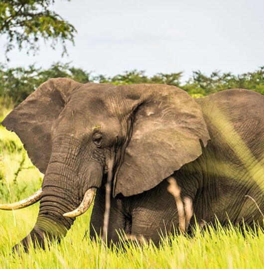 uganda_mweya-004 uganda_mweya-004