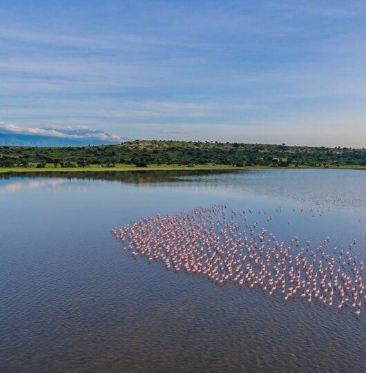 uganda_mweya-006 uganda_mweya-006