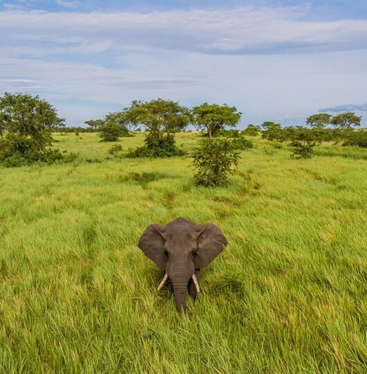 uganda_mweya-008 uganda_mweya-008