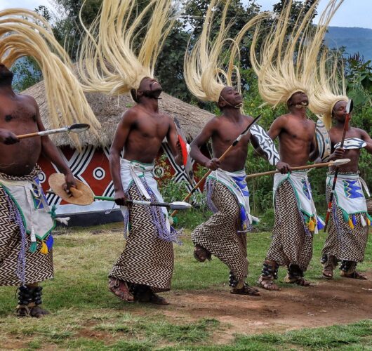 GorillaGuardiansExperience7 GorillaGuardiansExperience7